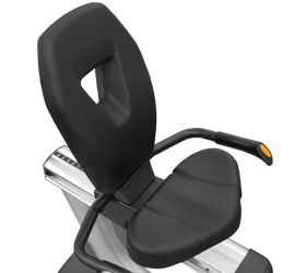 Bronze Gym R1001 Pro