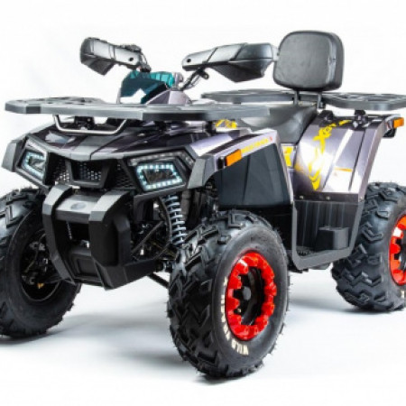 Квадроцикл MOTOLAND 200 WILD TRACK X PRO (2022)
