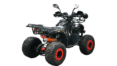 Квадроцикл BISON KIDS 125 LD