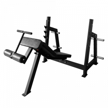 Скамья для жима под углом вниз Bronze Gym AL-306