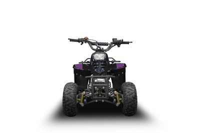 Квадроцикл RAPTOR 150 Universal