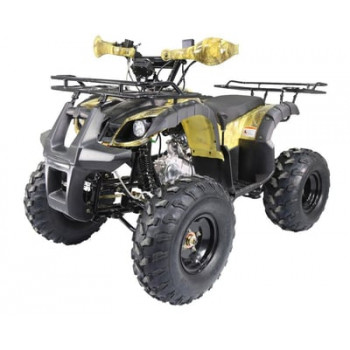 Квадроцикл ATV TERMIT TT