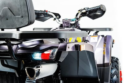 Квадроцикл MOTOLAND 200 WILD TRACK X PRO (2022)