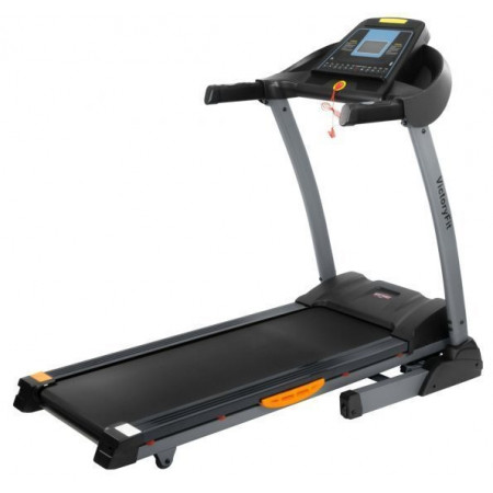 VictoryFit VF-2004