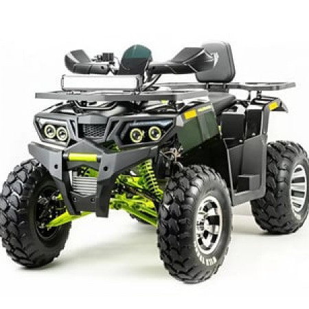 Квадроцикл MOTOLAND 200 WILD TRACK PRO