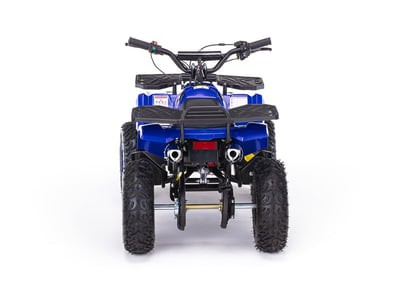 Квадроцикл MOTAX GRIZLIK X16 (ES, BW)