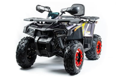 Квадроцикл MOTOLAND 200 WILD TRACK X PRO (2022)