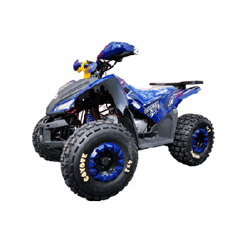 Квадроцикл MOTOLAND 125 COYOTE PRO