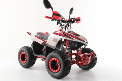 Квадроцикл MOTAX Mikro 110 NEW