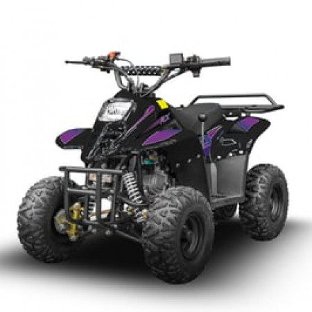 Квадроцикл RAPTOR 150 Universal