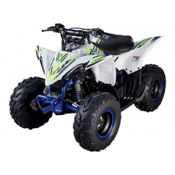 Квадроцикл MIKILON Rapide 110