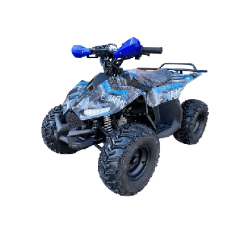 Квадроцикл RAPTOR New 125