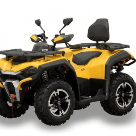 Квадроцикл HISUN Guardian 750 S (ПСМ)